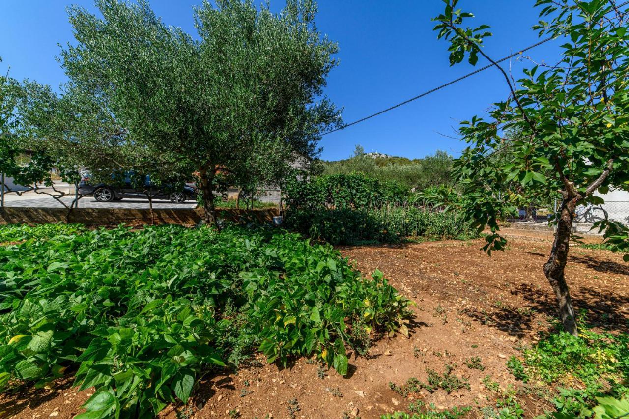 Apartman More Šibenik Dış mekan fotoğraf